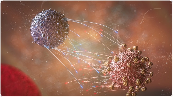 t cell