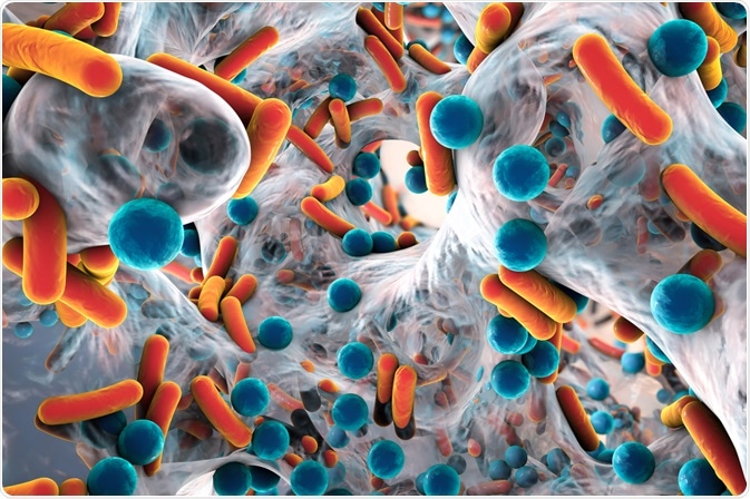 antibiotic resistance