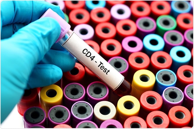CD markers