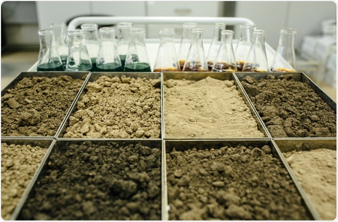 soil analysis