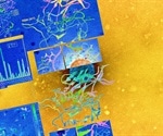 A high-throughput pipeline for identifying nanobodies that target and neutralize SARS-CoV-2