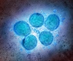 Plasmid DNA vaccines induce effective antibody responses against SARS-CoV-2 in mice