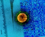 Novel proteomics approach predicts severe COVID-19 outcomes