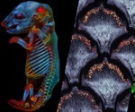 The art of science: Olympus launches third global image of the year contest