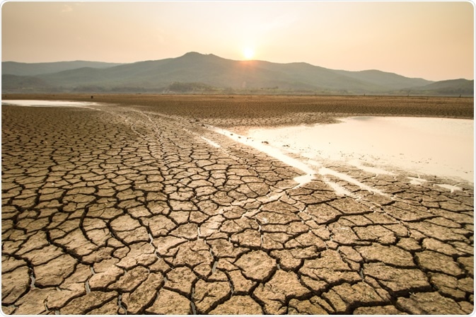 Drought Drought