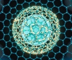 Production of Biopolymers by Microorganisms