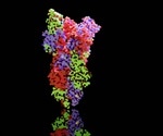 Immune evasion by SARS-CoV-2 facilitated by a mutational hotspot in the NTD