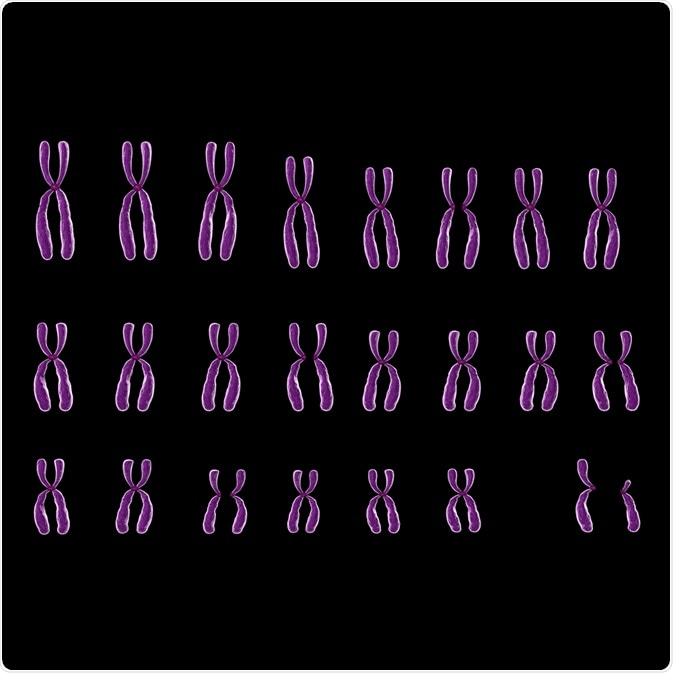 cytogenetics