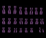 What is Cytogenetics?