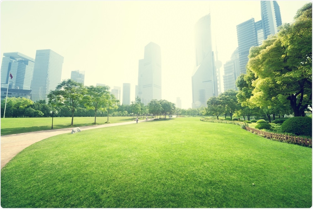 Green City Concept