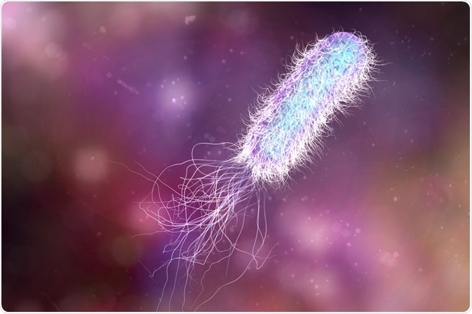 flagella