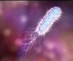 The Role of Flagella in Adhesion and Virulence