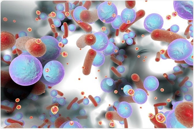bacterial communication