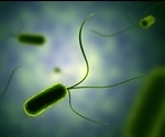 Stopping Infection by Disrupting Bacterial Motility