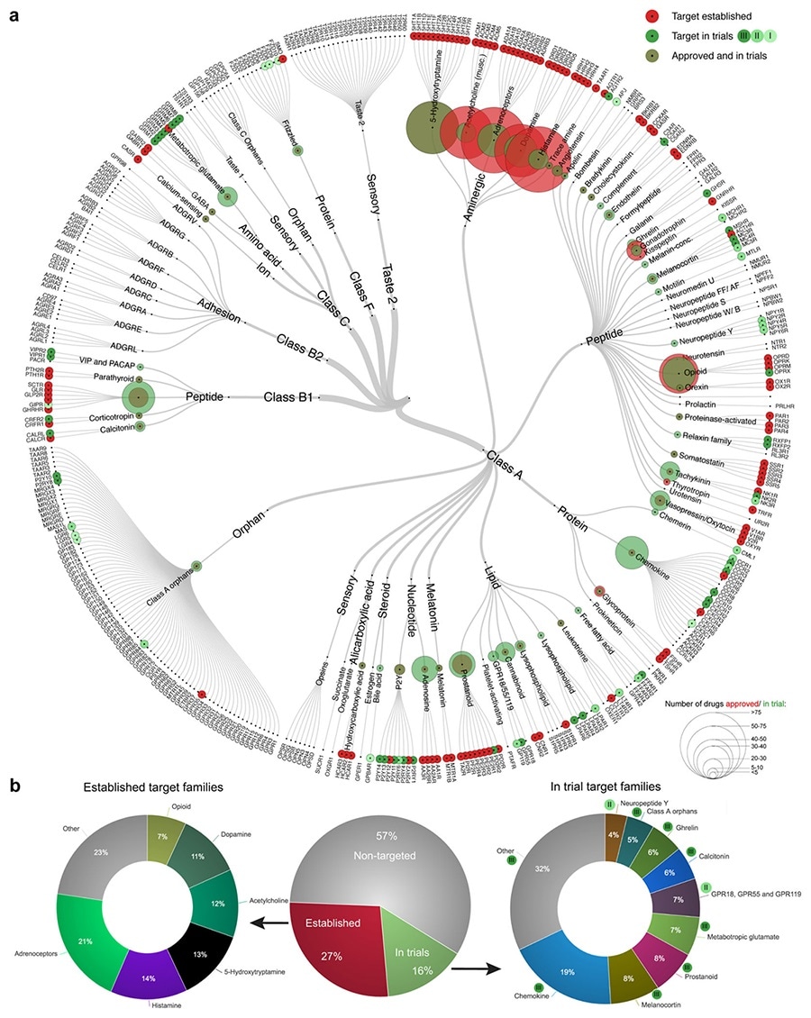 GPCRs clinical drug target distribution