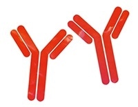 Living with COVID-19: A reflection on the pandemic