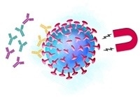 Living with COVID-19: A reflection on the pandemic
