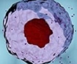 Highly Efficient Exosome Isolation & Purification Tools