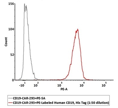 1e6 of the anti-CD19 CAR-293 cells were stained with 100 μL of 1:50 dilution (2 μL stock solution in 100 μL FACS buffer) of PE-Labeled Human CD19 (20-291), His Tag (Cat. No. CD9-HP2H3). PE Streptavidin was used as a negative control.