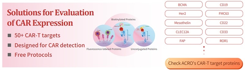 Solutions for Evaluation of CAR Expression.