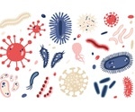 The Search for Extra-terrestrial Microbes