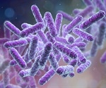 What Would Happen if Bacteria Were Removed from the Biosphere?