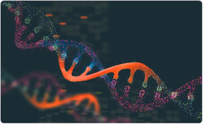 DNA DNA