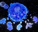 The role of T follicular helper cells in the humoral immune response to SARS-CoV-2