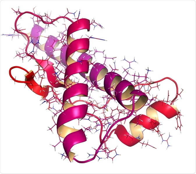 Human Prion Human Prion