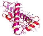 What are Prions?