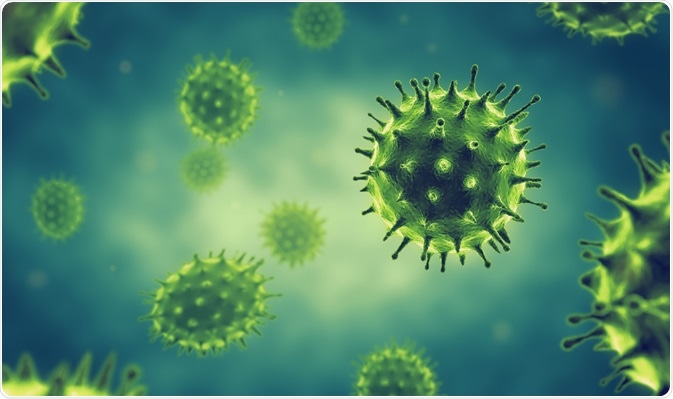 Virus Virus