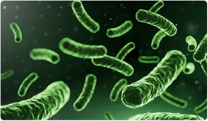 Microorganism