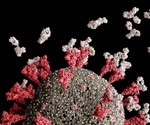 Spike antibody durability in mRNA vaccinated individuals with or without prior SARS-CoV-2 infection