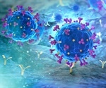 Interactions between SARS-CoV-2 S protein and ACE2 receptor using fluorescence correlation spectroscopy