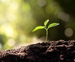 What is Geomicrobiology?