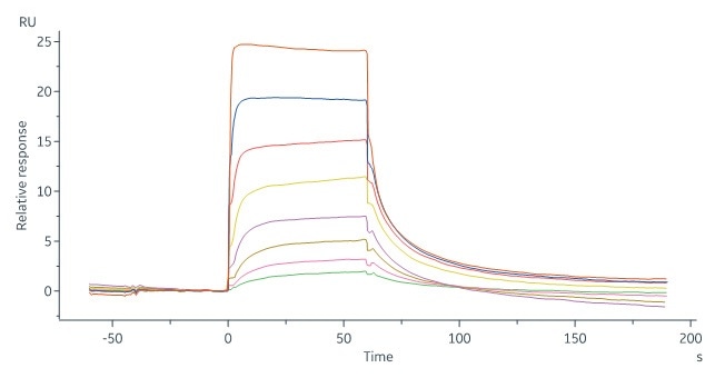 Immobilized Human CD64, His Tag (Cat. No. FCA-H52H1) at 1 μg/mL (100 μL/well) can bind Human IgG Fc, Tag Free (Cat. No. FCC-H5214) with a linear range of 1–16 ng/mL.