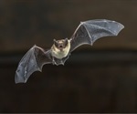 Genomic study of furin cleavage sites validates the natural evolutionary origin of SARS-CoV-2 in bats