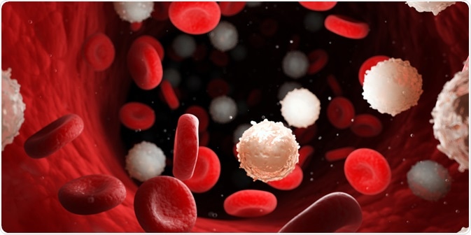 White Blood Cells White Blood Cells