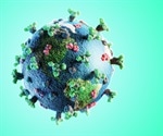 Study demonstrates SARS-CoV-2 ORF6 localization and interferon antagonism as independent events
