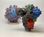 Could rotavirus vaccine platforms aid in the immunization campaign against SARS-CoV-2?