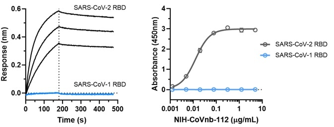 NIH-CoVnb-112 does not bind to SARS-CoV-1.