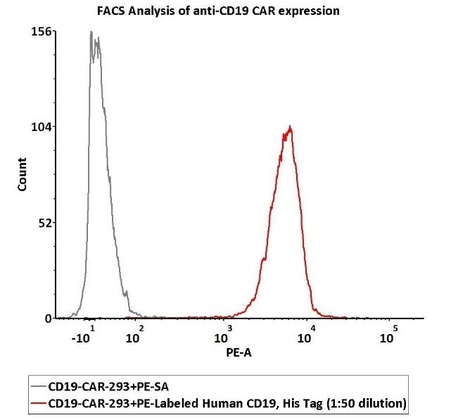 CAR-T Therapy: Syndrome Released by Cytokine
