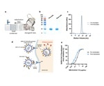 COVID-19: Can Aerosolized Nanobodies be a Gamechanger?