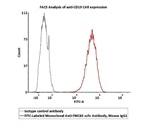 CAR-T Therapy: Syndrome Released by Cytokine