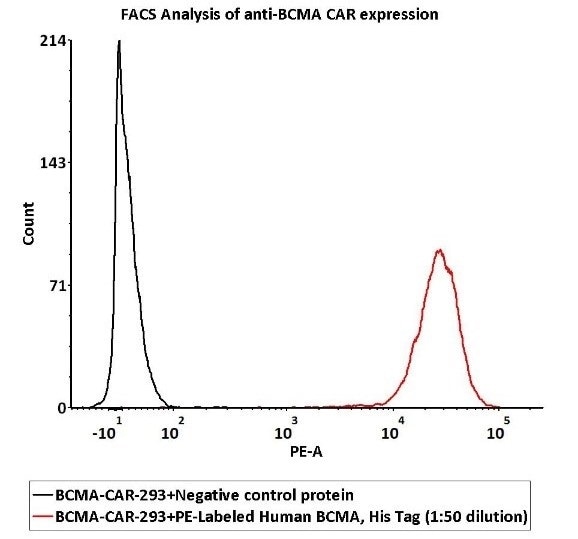 CAR-T Therapy: Syndrome Released by Cytokine