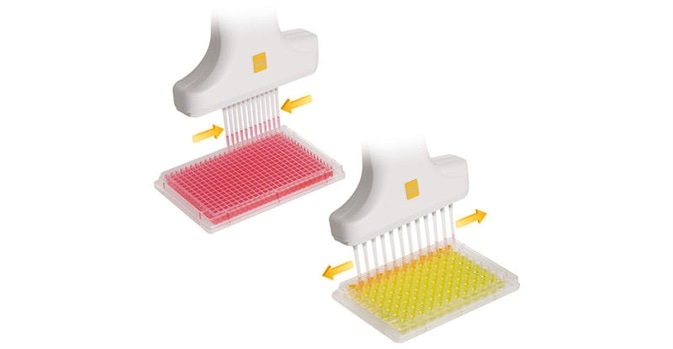 Enabling Vital Screening for Microbial Evolution Research Enabling Vital Screening for Microbial Evolution Research