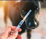 Rabies Epidemiology