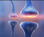 Schizophrenia Neural Processes