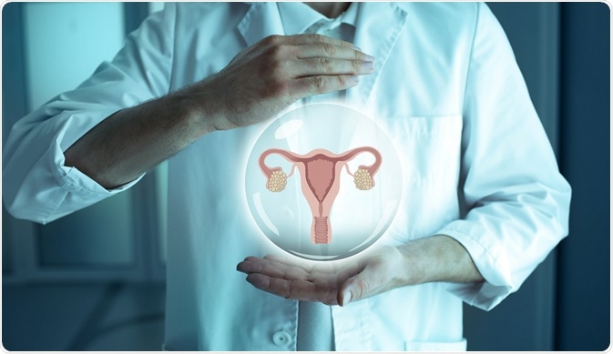 Female Reproductive System Female Reproductive System