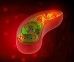 What are Coenzymes?